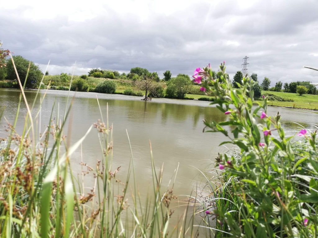 Portland Fishing Lakes Sibthorpe near Newark, Nottinghamshire