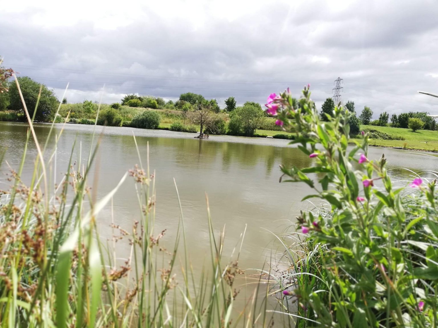 Portland Fishing Lakes, from the fishery's own website