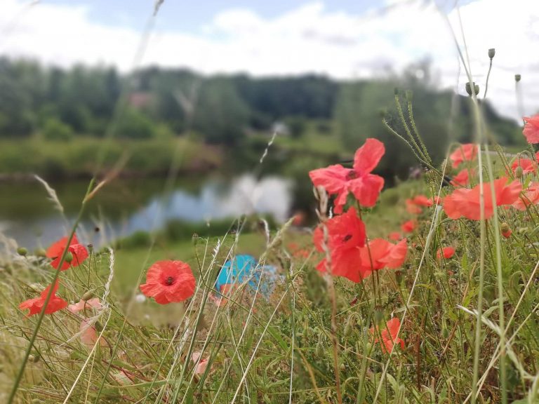 Portland Fishing Lakes